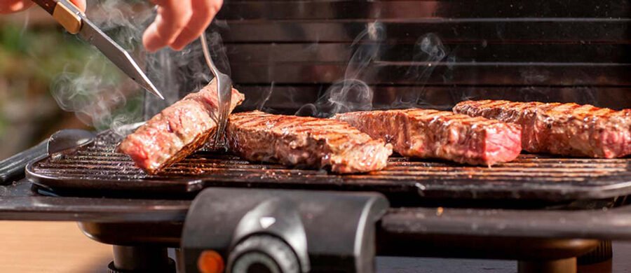 Churrasqueira Elétrica, guia completo para um churrasco prático, seguro e saboroso